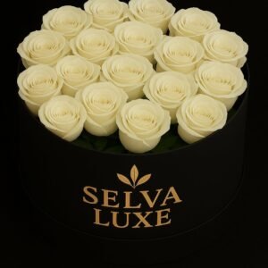 Cilindro Rosas blancas Usd $339.90